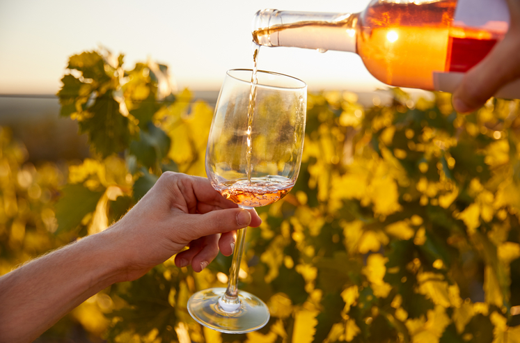 Les principaux domaines viticoles producteurs de vins rosés de Provence